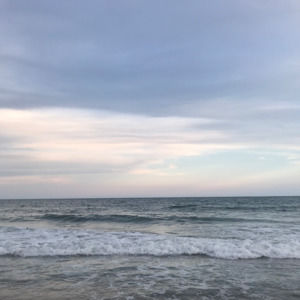 Meet your Posher, Zoe